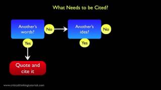 Avoiding Plagiarism  What Do I Need to Cite