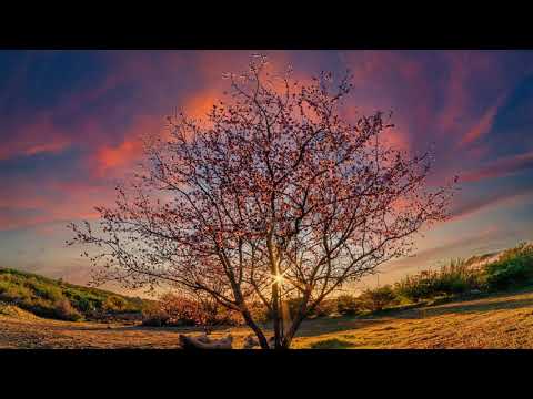 為什麼存在 - 鄒念慈