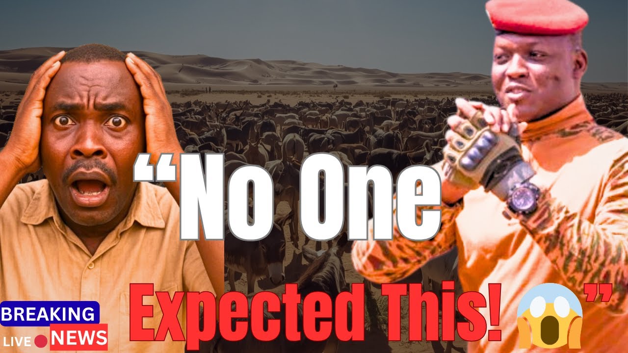 “Why Traoré’s Donkey Army Shocks the World” ✅