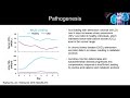 Chronic Kidney Disease: Considerations in the Management of Metabolic Acidosis