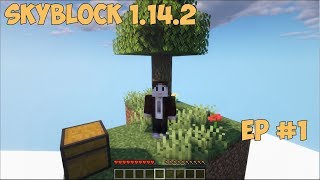 [Skyblock 1.14.2] EP #2 Survival on Skyblock