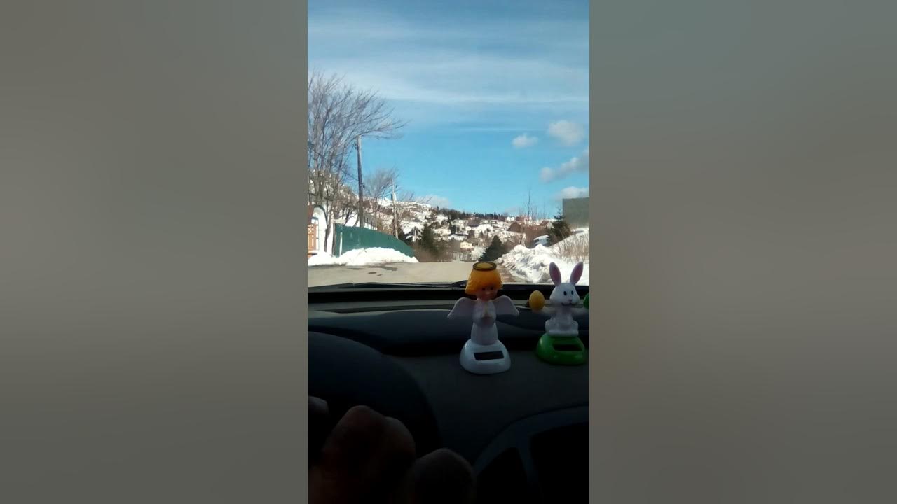 SPOON COVE NL YouTube