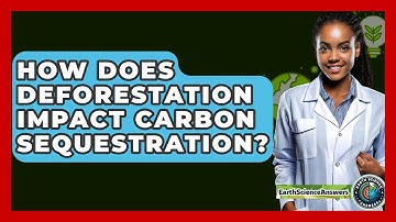 How Does Deforestation Impact Carbon Sequestration? - Earth Science Answers