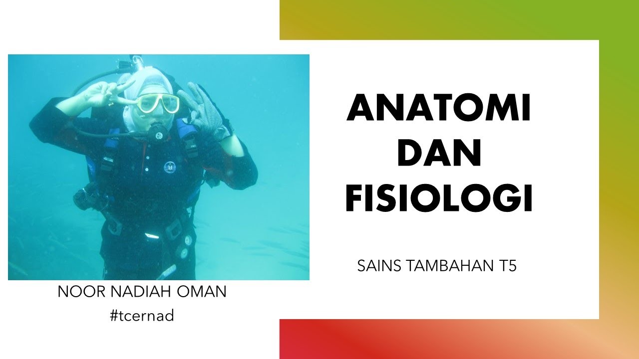 Tcer Nad - Penghantaran Impuls Dalam Sistem Saraf (Bhgn 1) - Sains Tambahan T5