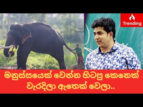 මනුස්සයෙක් වෙන්න හිටපු කෙනෙක් වැරදිලා ඇතෙක් වෙලා || indi raja || nadungamuwe raja
