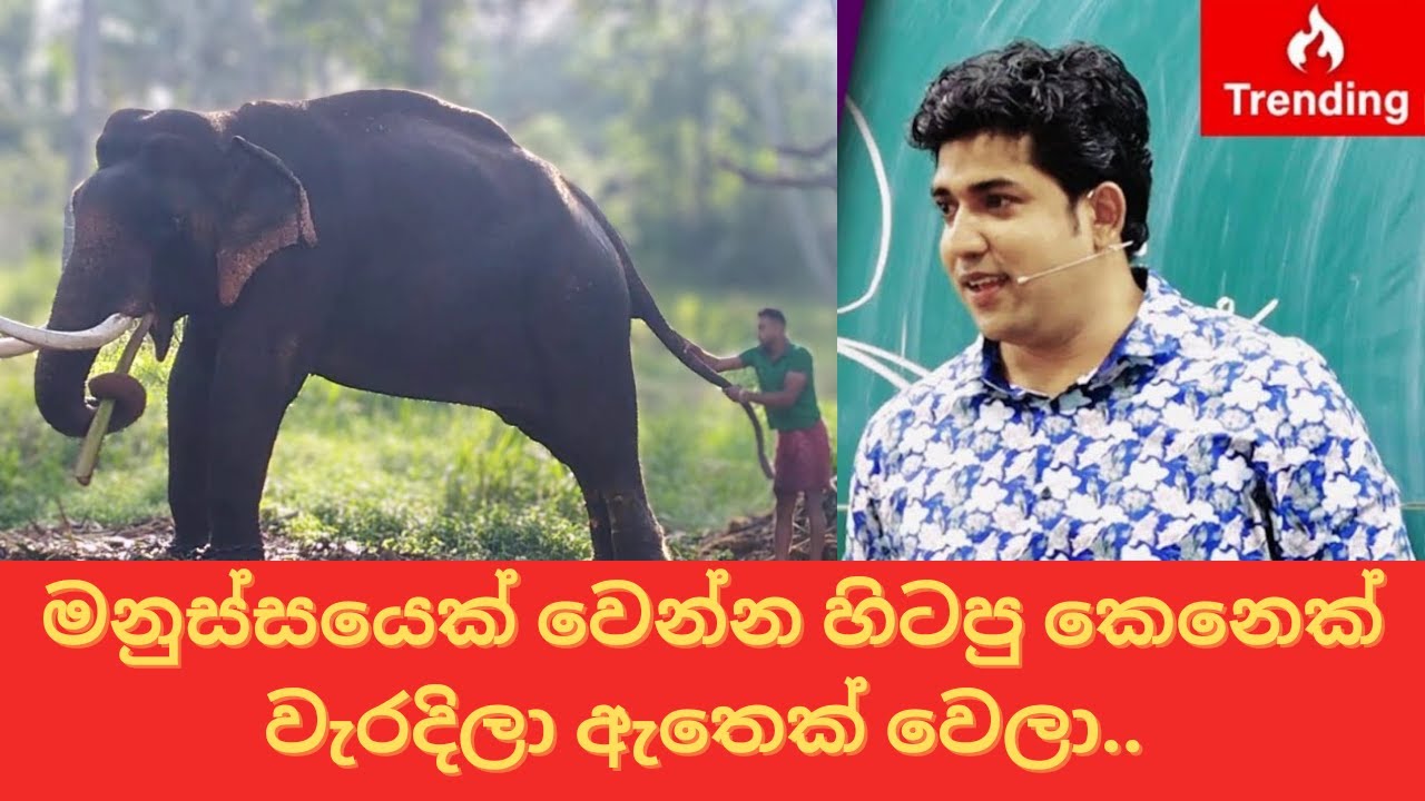 මනුස්සයෙක් වෙන්න හිටපු කෙනෙක් වැරදිලා ඇතෙක් වෙලා || indi raja || nadungamuwe raja