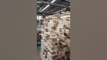 Fully automatic wood sorting system 1