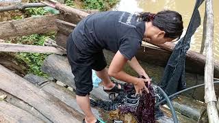 Ngob Zoo Os Mus Teb Los Nawb Los Ntxhua Khaub Ncaws Tso Nawb