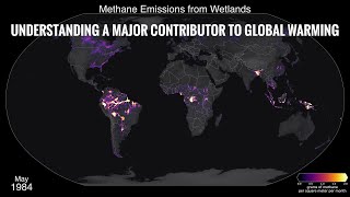 Methane Emissions from Wetlands: Understanding a Major Contributor to Global Warming