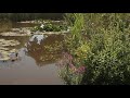 Capture de la vidéo Lolita