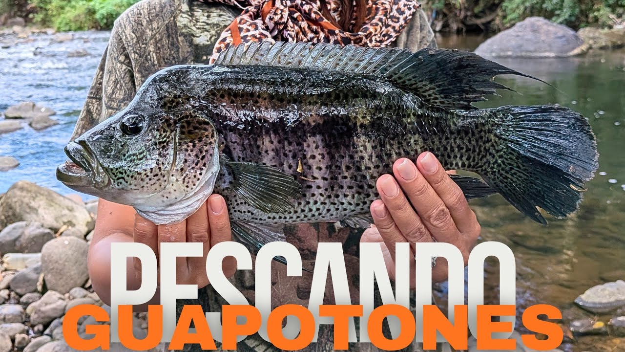 PESCANDO puros GUAPOTES GIGANTES