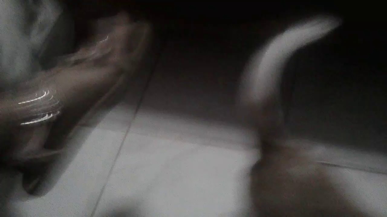 Rhyne and RC s tour of the house Ganda Nila Pak ganarn