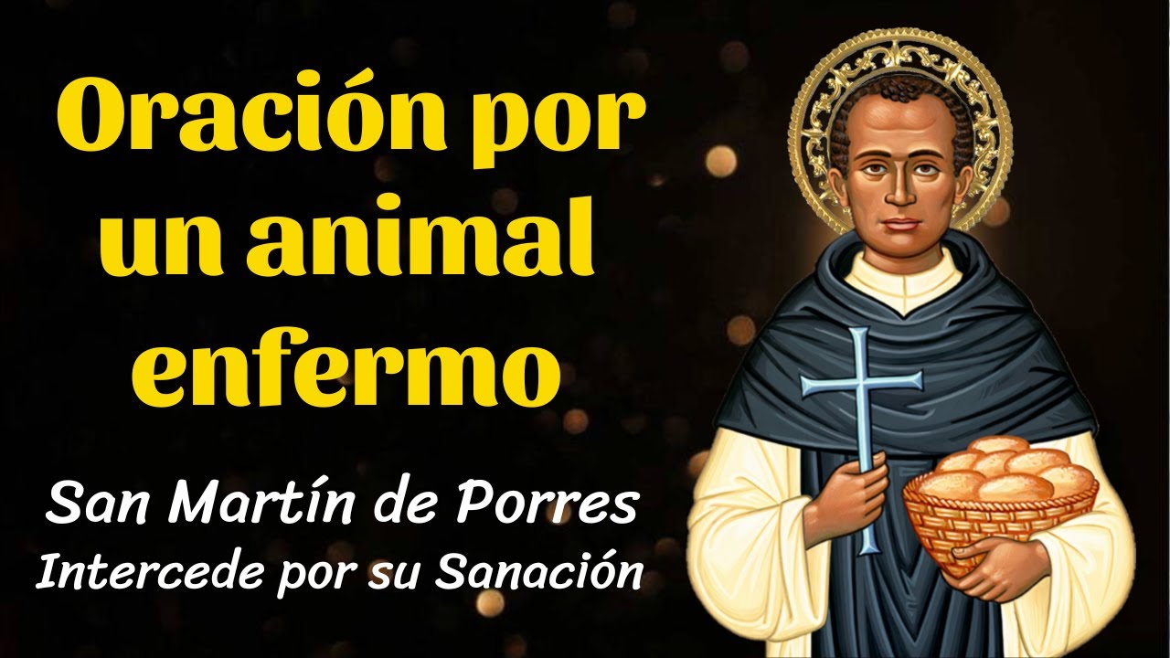 Oración a San Martín de Porres para pedir por un animal enfermo - YouTube
