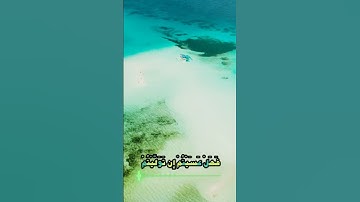 سورة محمد و،؛كا،.نك تسمعها لأ،.و.ل مر.ة💞💜؛،🌸🌼؛💟🌹،.💝بصوت الشيخ حمزة مدبو.ح ❣️💮❤️،.💚💙.🌷💞💘