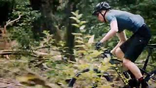 Ffwd Outlaw Go Anywhere