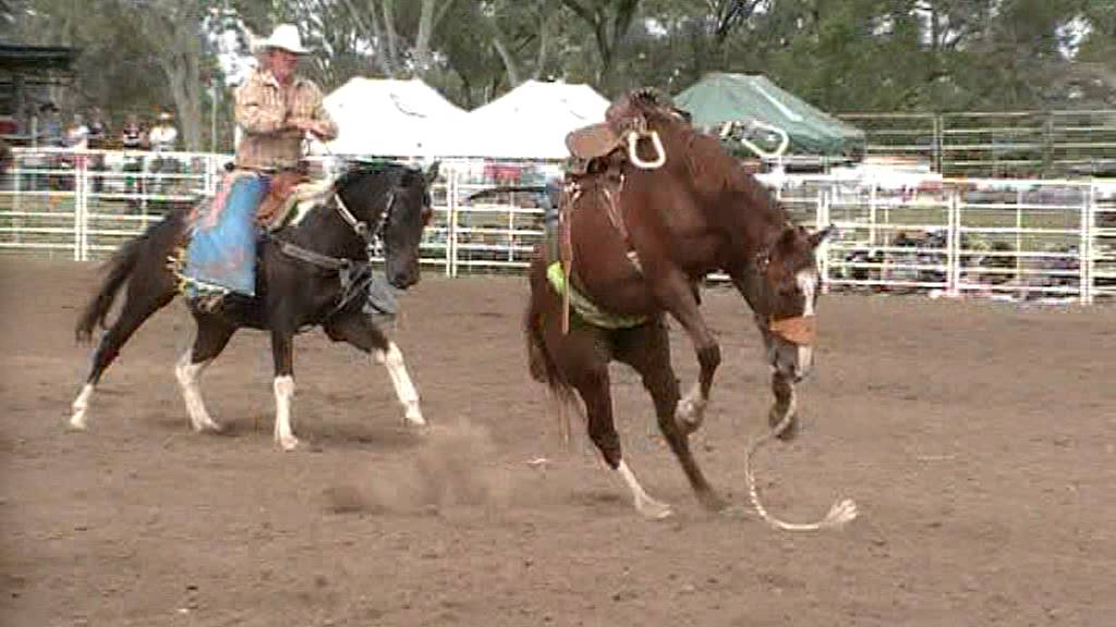 Saddle Bronc @ Collinsville Rodeo 2011 - YouTube
