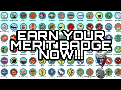 So sammeln MERIT BADGES