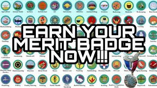 HOW TO EARN MERIT BADGES