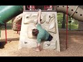 Hanging at the playground | How many pull-ups can I do? [CC]