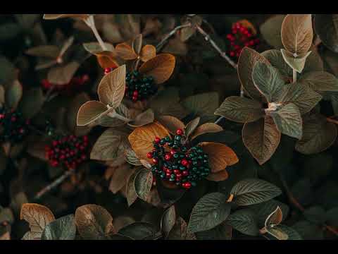 《短发》R&B