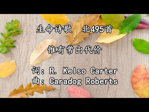 生命诗歌 北495 大729 惟有常出代价