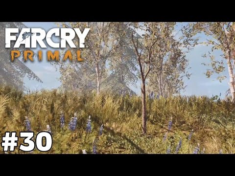         30