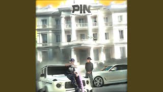 Pin Pin