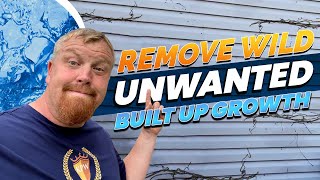 Remove Wild, Unwanted Built Up Growth (Vines) on your house with these easy to follow steps