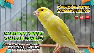 Kenari GACOR NGEREK‼️ Masteran Kenari PAUD dan Pancingan Kenari MACET BUNYI dan Betina NGIWIR -442