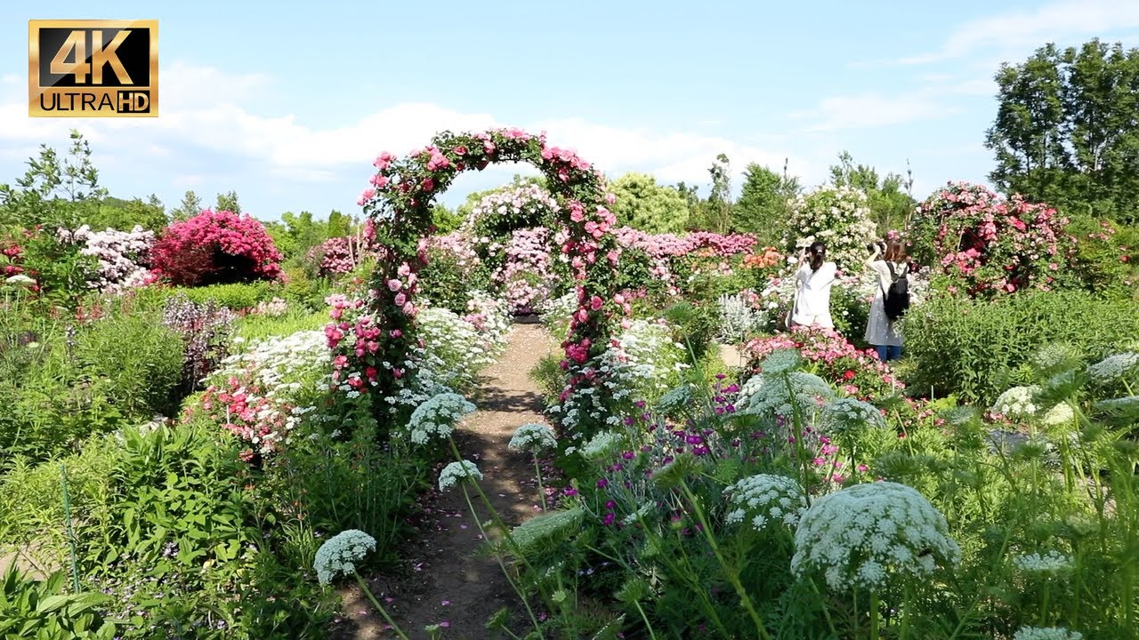 ナチュラルガーデン村尾 埼玉県さいたま市見沼区 | 埼玉旅行 | Japan travel