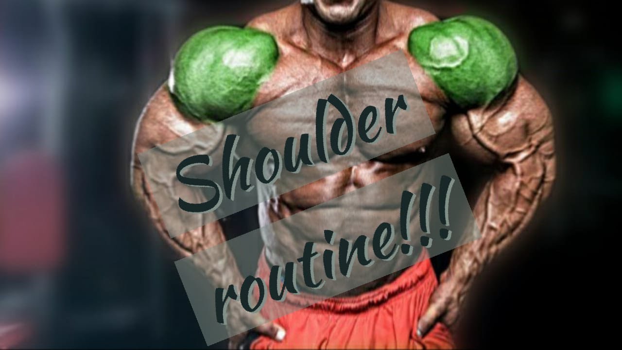 Shoulders Routine!! Brandon Curry - YouTube