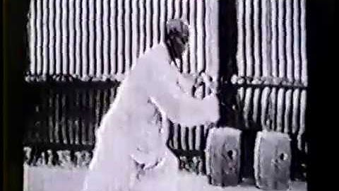 Tung Ying Chieh - Tai Chi slow set (Bankok, Thailand 1950+)