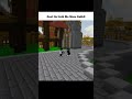 BROTHER 🫂. #minecraft #funny