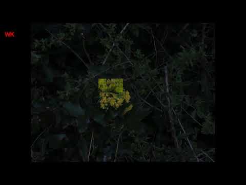 Es geschah im April (2025)