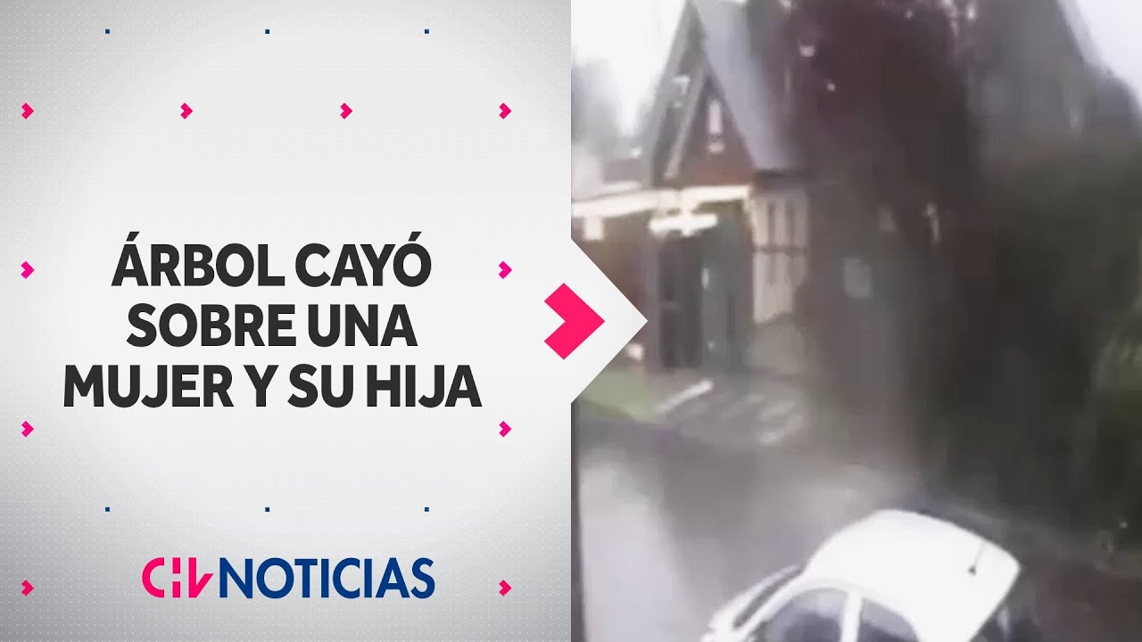Árbol cayó sobre mujer y su hija: Viento botó cúpula de iglesia en Chiguayante - CHV Noticias