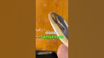 SUPER CLEAN Cabinet: So Oddly SATISFYING 👀 👍 #shorts #painter #oddlysatisfying