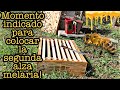 Colocación de segunda alza melaria 🐝 |    Cuando colocar alza melaria  |APICULTURA