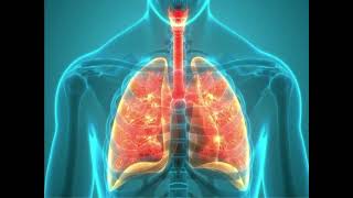 Pulmonary Ventilation