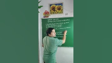 Synthesis Using Noun & Phrase in Apposition | Part 2