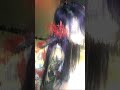 (free) shoegaze x alternativerock x indie type beat - “Pleasure”