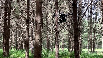 Autonomous drone flying beneath a forest canopy