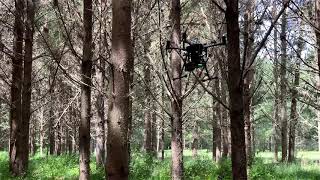 Autonomous drone flying beneath a forest canopy