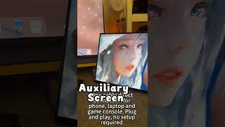 16:10 120Hz Touchscreen Monitor That Actually Feels Premium &amp; Solid