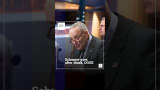 Schumer Goes After Musk, DOGE