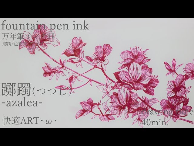 fountain pen ink】-azalea-・ω・つつじ（躑躅）【万年筆インク画