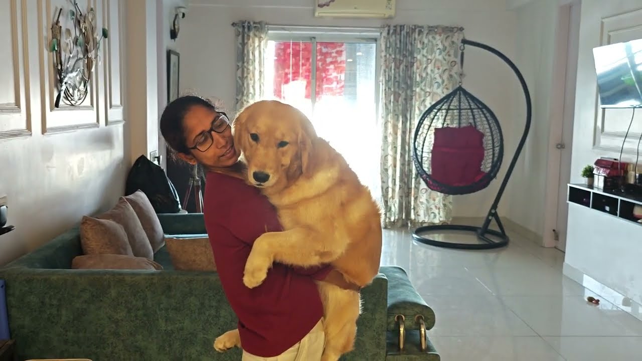 Lap is heaven ???? @riotheranger  