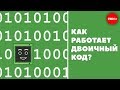 Как на самом деле работает двоичный код?