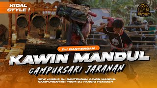 DJ BANTENGAN KAWIN MANDUL STYLE CAMPURSARIAN VIRAL TIKTOK FROM DJ PANGKI REMIXER 