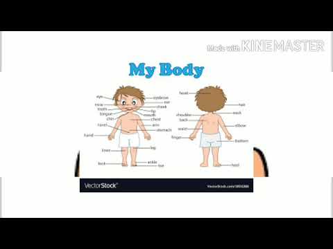 parts of body🙋💁🙆🤷🤦 - YouTube