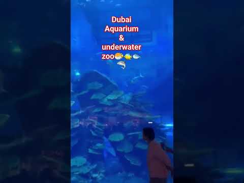 DUBAI II AQUARIUM II UNDERWATER II ZOO🦈🐡🐠🐟 #travel #trending #viral#shortvideo